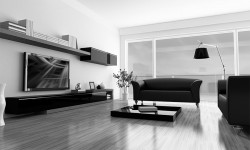 Etiam commodo convallis